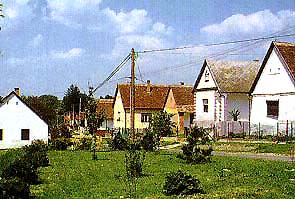dorocske_latkep.jpg
